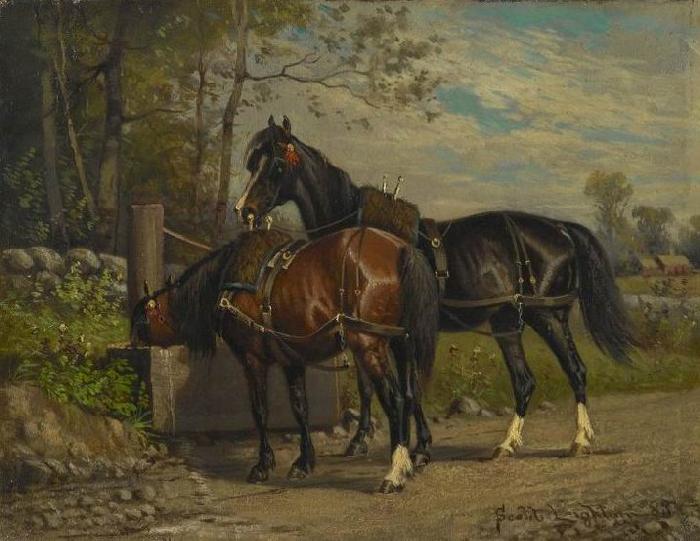 unknow artist Two Horses at a Wayside Trough oil painting picture